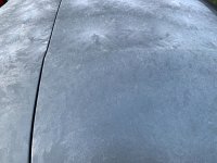 D4897983-8166-4E8C-AAB6-5C509062A501.jpeg