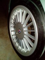 IMG_20190301_172453.jpg