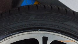 P1000389.JPG