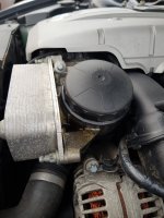 Z4 oil filter.jpg