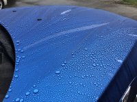IMG_4648.jpg