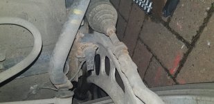 20190408_174609.jpg
