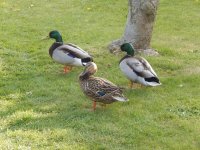 DSCN1138.JPG