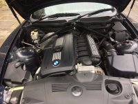 IMG_0790.jpeg