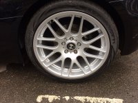 IMG_0796.jpeg