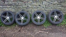 DSC_0128.jpg