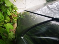 IMG_20190427_095745.jpg