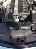 image8.jpeg