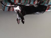D4303043-BD94-48E2-97A2-2B9223EEFC99.jpeg