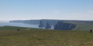 IMG_20190517_135246.jpg