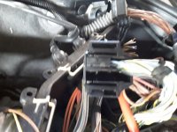 20190601_073253.jpg 20190601_073253.jpg