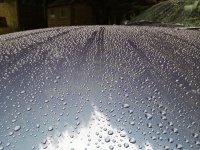 IMG_20190604_170545.jpg