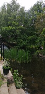 IMG_20190609_131743.jpg