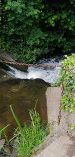 IMG_20190609_131720.jpg