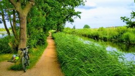 IMG_20190609_170107-EFFECTS.jpg