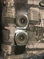 IMG_0313.jpeg