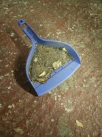 sill dirt.jpg
