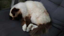 zzzz.jpg