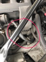 IMG_6740.jpg