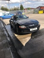 z4.jpg