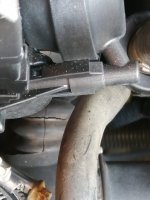 close up.jpg