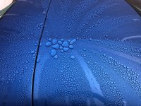 IMG_4649.jpg