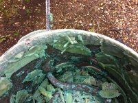IMG_0664[1].JPG