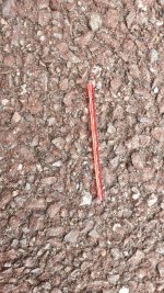 20190726_094734.jpg