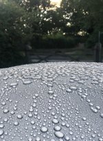 D47FF703-682D-4982-BEF5-9BA93FE432D7.jpeg