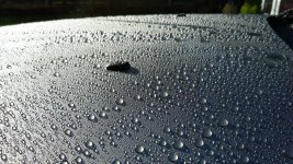 20181101_095515.jpg 20181101_095515.jpg
