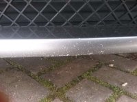 20160928_145249.jpg