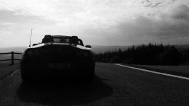 forest drive near Enniskillen_copy.jpg