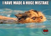 image.jpeg image.jpeg
