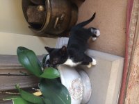 IMG_0423.JPG