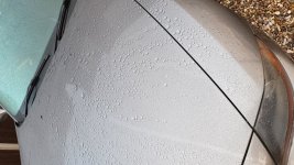 20190815_063040.jpg