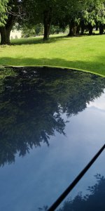 IMG-20190821-WA0007.jpeg IMG-20190821-WA0007.jpeg