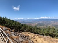 IMG_5087.JPG