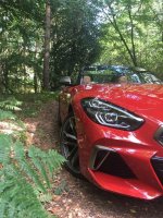 z4 (4).jpg