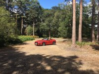 z4 (5).jpg