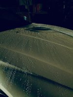 F6F31B88-2F9D-4D85-8A1B-E5528C6E9AAE.jpeg