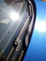IMG_20190915_150120625.jpg