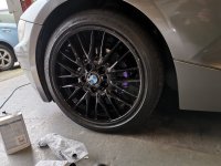 zed purple caliper 3.jpg