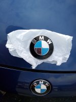 Front Badge.jpg