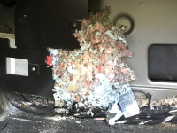 mouse_nest5.png