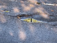 IMG_5426.JPG IMG_5426.JPG