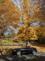 Z4_fall_drive.jpg Z4_fall_drive.jpg