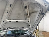 DE285A66-2D14-4C39-A3F8-8E1E42B91EC2.jpeg