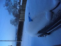 14DF844A-9659-4D9F-96C9-6F231D8D7380.jpeg