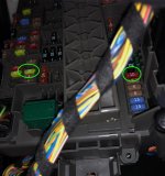 IMG_7289.jpeg