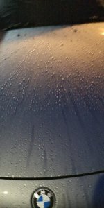 IMG_20191216_072436.jpg